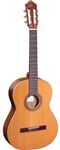 Ortega R220 Gloss Nylon String Acoustic Guitar with Gigbag Front View